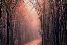 NBA最新排名！湖人开始掉队，联盟第一给勇士送温暖，火箭第2不稳.