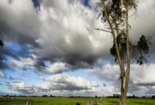 开元棋牌：8记三分球！雷霆主帅：以赛亚-乔的表现令人难以置信.