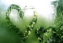 追光丨在海拔4000米追风，旦增吉美的速降人生.