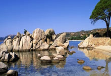 前曼市球员料出任格鲁吉亚总统.